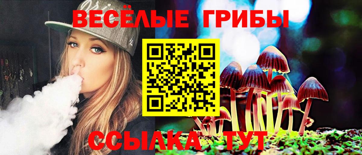 Псилоцибиновые грибы Psilocybe Видное