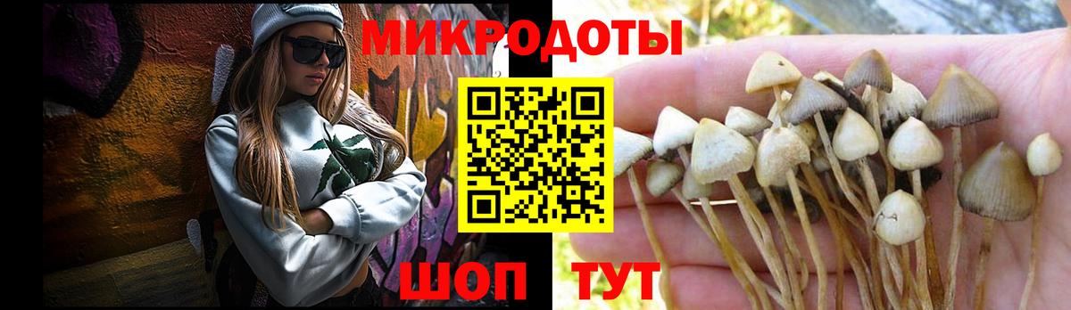 Псилоцибиновые грибы GOLDEN TEACHER  Вход с VPN  Видное 